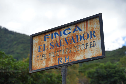 Rodolfo "Christmas" El Salvador (Limited Edition) - Nordbeans