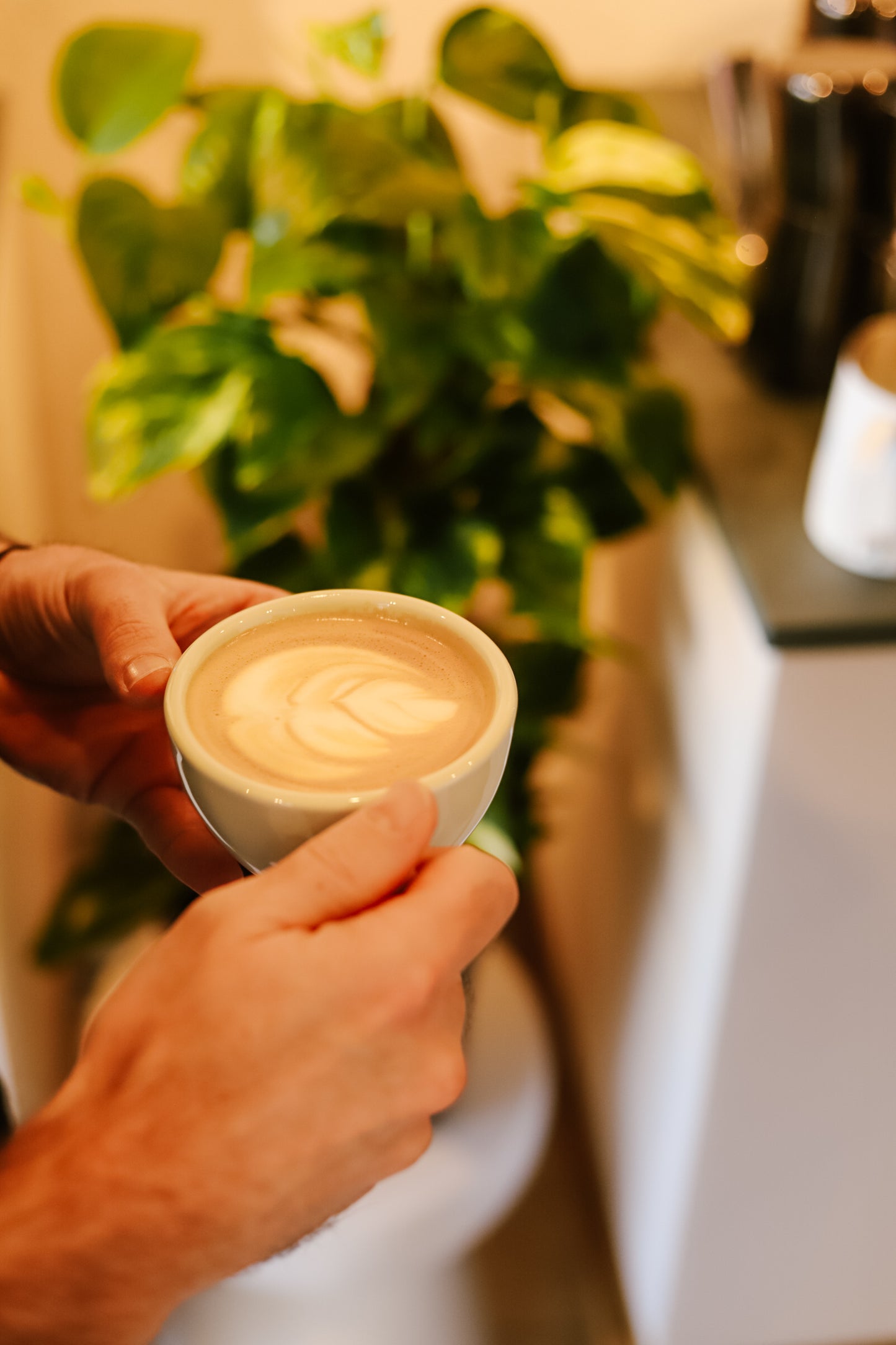 Home Barista Workshop · Wir kommen zu dir