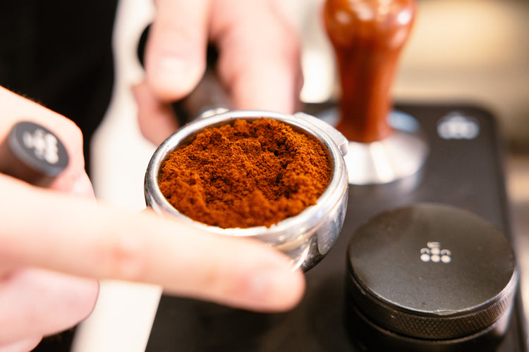 Barista Workshop · Coffee Tasting · Mannheim · Heidelberg