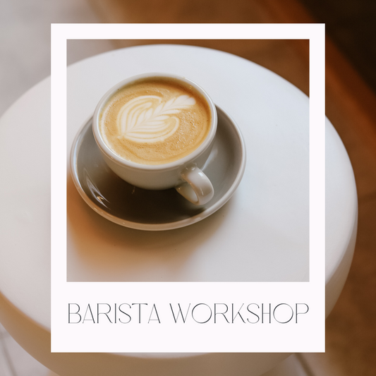 home barista workshop baristakurs mannheim heidelberg 