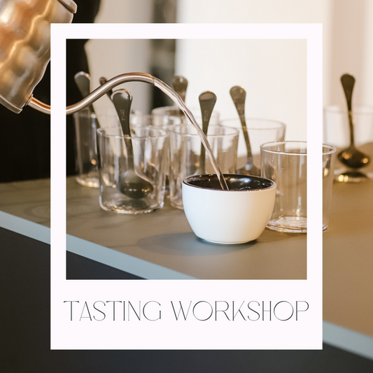 Kaffee Tasting in Mannheim Coffee tasting cuptasting kurs in mannheim