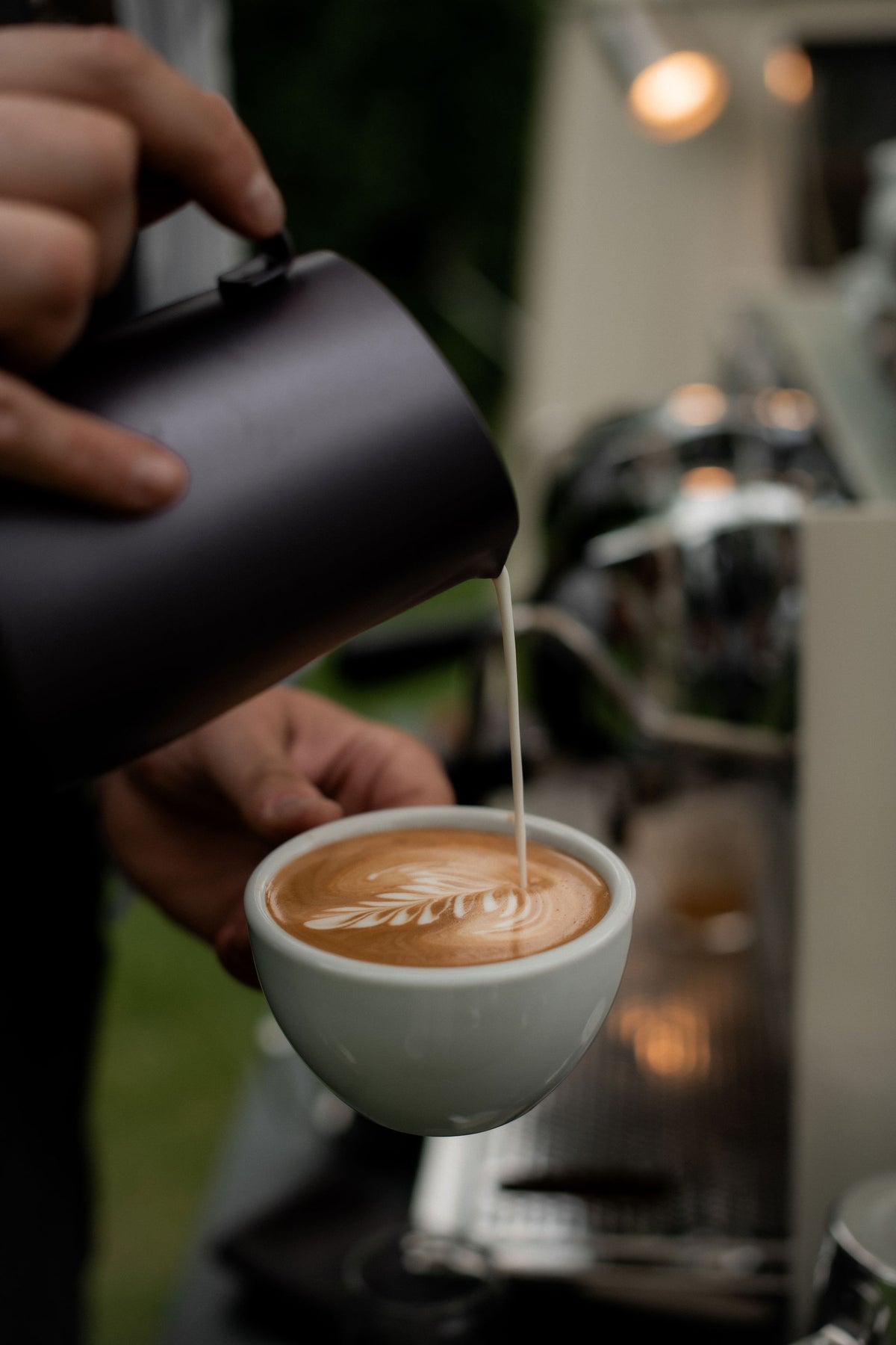 Specialty Coffee Catering