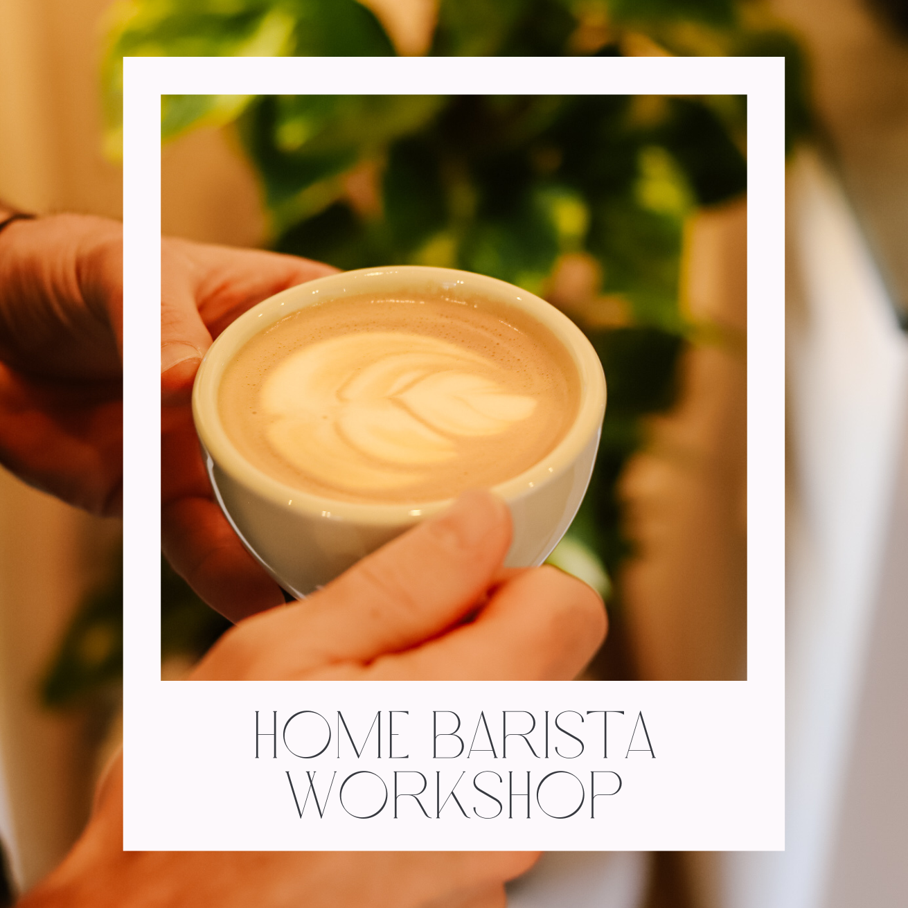 Home Barista Workshop – Wir kommen zu dir!