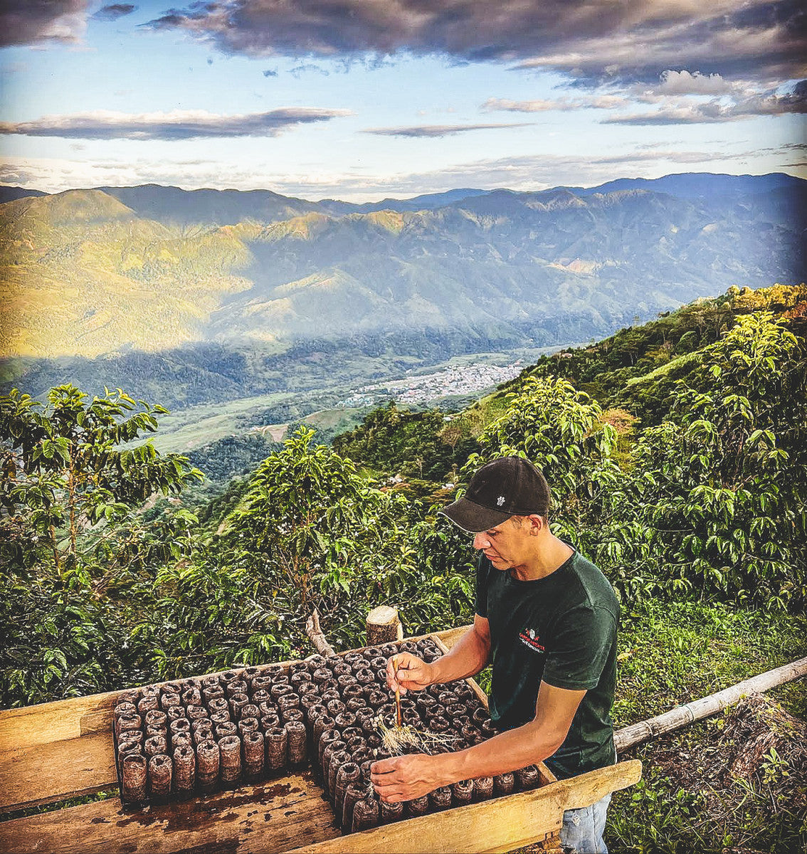 "Autumn Wonderland" aus Kolumbien (Limited Edition) von DAK Coffee Roasters