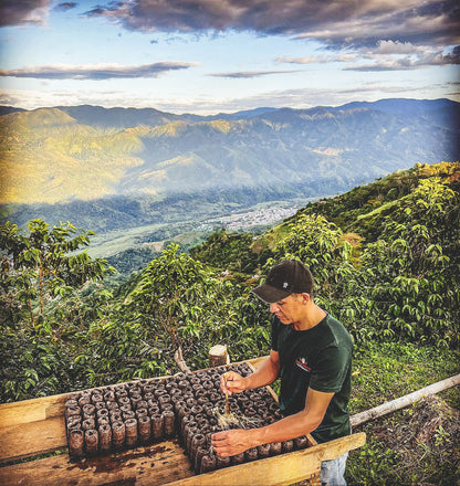 "Autumn Wonderland" aus Kolumbien (Limited Edition) von DAK Coffee Roasters