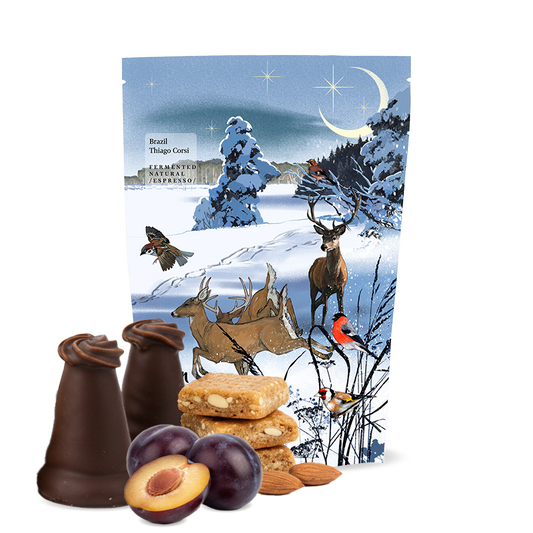 "Christmas Espresso" Brazil Thiago Corsi (Limited Edition) - KMEN Coffee Roasters